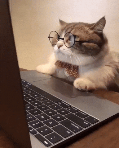 Thinking cat